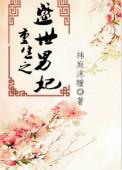 重生之盛世男妃百度