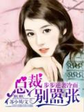 有声步步痴心冷面总裁柔情妻