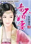 妾不如妻王野