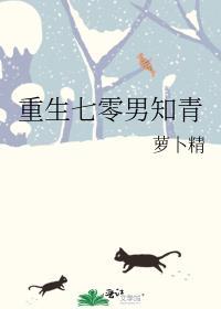 重生七零男知青的幸福生活