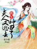 夫人又跑了免费