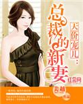 天价宠妻总裁的新妻全文免费阅读