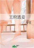 王府逃妾剧情