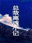 总裁离魂小记by木三观txt