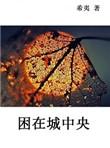狂上加狂困在城中央