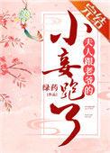 夫人跟着老爷的妾跑了