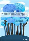 六零年代炮灰小姨孑月半蔷薇讲的什么内容
