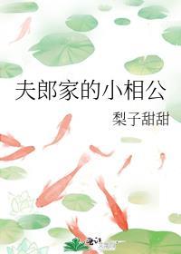 关于小夫郎的宠文