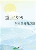 重回1995作者路小哥