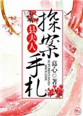 县夫人探案手札类似的