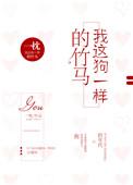 初见情深全文阅读免费