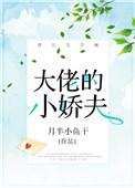 大佬的小娇夫主角宋迟墨