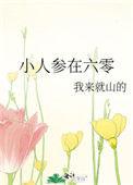 小人参在六零txt