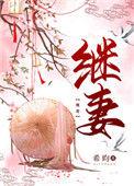 继妻希昀 晋江