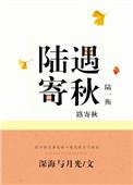 陆遇寄秋文免费