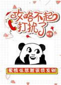 攻略不起打扰了txt 全文