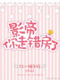 你走错房了晋江