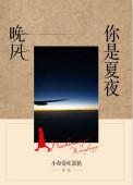 夏夜晚风遇见你短剧