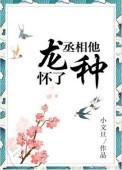 丞相他怀了龙种好看吗