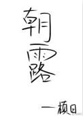 朝露 非木非石