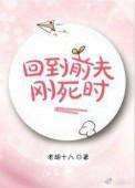 回到丈夫战死前TXT木妖娆