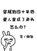 穿越到四十年后爱人变成了老头子怎么办