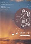 他曾经逆光而来晋江