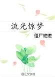 流光惊梦嬷嬷TXT