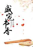 盛宠全文