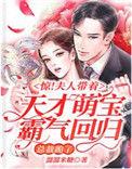 书名“夫人她惊艳全球了”