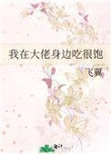 在大佬面前玩火快穿作者笑佳人