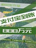 支付宝到账888万元怎么办
