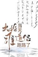 大婚当日进入循环全集免费全集