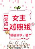 穿成女主的对照组(穿书)作者鸡毛令箭