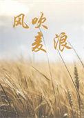风吹麦浪歌曲歌词