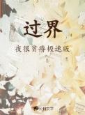 过界电视剧全集免费观看完整版高清