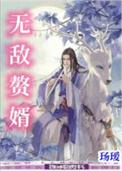 无敌赘婿沈浪TXT