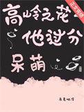 高岭之花推荐