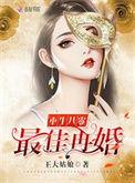 最佳再婚全文免费阅读
