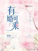 有婚可乘全文