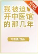 我被迫开中医馆的那几年作者叶思清