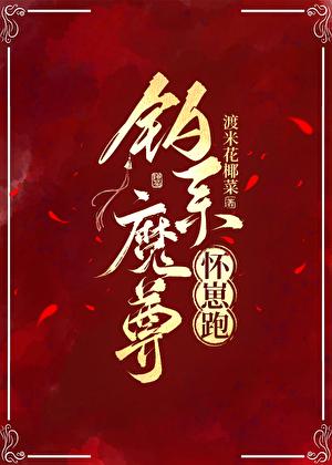 魔尊怀了我的崽全文TXT