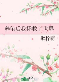 我养一只乌龟