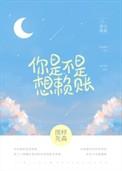 你是不是想赖账2完结篇