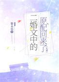 经典二婚文推荐