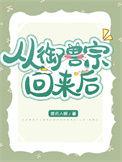 御兽进化流