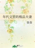 年代文里的极品夫妻完结了吗