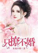只撩不爱艾雪