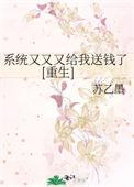 系统又又又又给我