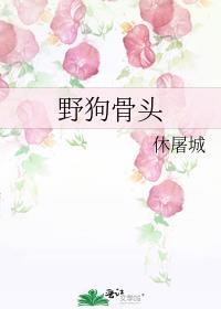 野狗骨头作者